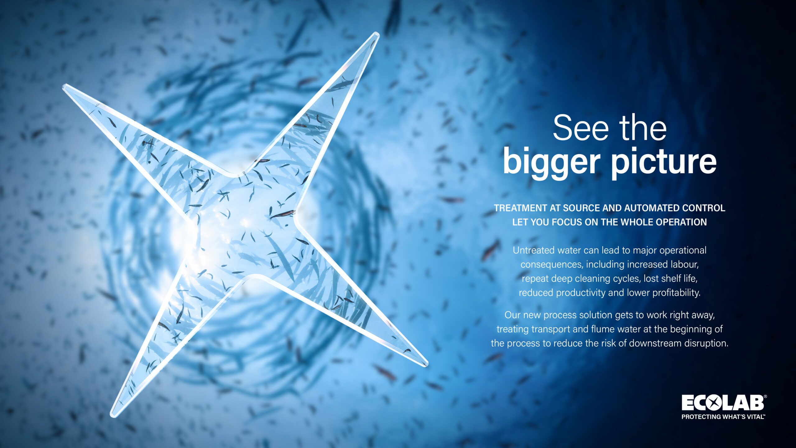 An Ecolab promotional graphic. On the left, a translucent four-pointed Ecolab star icon overlays a blue underwater scene of a swirling vortex of small fish. On the right, white text on a dark blue background reads 'See the bigger picture' above 'TREATMENT AT SOURCE AND AUTOMATED CONTROL LET YOU FOCUS ON THE WHOLE OPERATION' and two paragraphs detailing water treatment solutions for processing efficiency, with the Ecolab logo in the bottom-right corner.