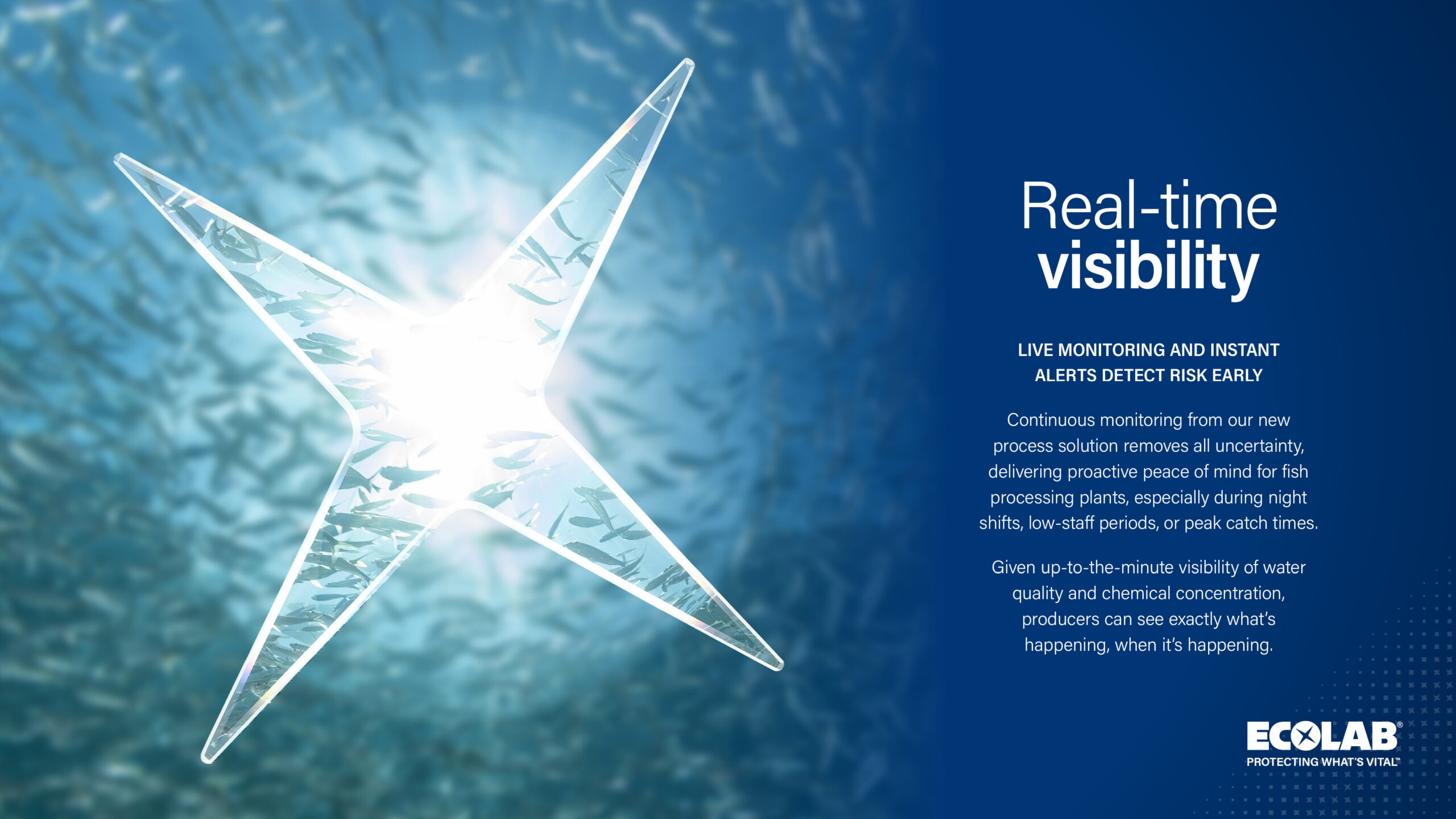 An Ecolab promotional graphic. On the left, a translucent four-pointed Ecolab star frames a bright, sunlit underwater view of a swirling school of fish. On the right, white text on a dark blue background reads 'Real-time visibility' above 'LIVE MONITORING AND INSTANT ALERTS DETECT RISK EARLY' and two paragraphs detailing water quality monitoring for fish processing plants, with the Ecolab logo in the bottom-right corner.